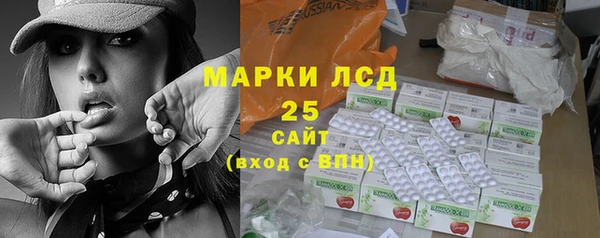 прущий лед Абаза