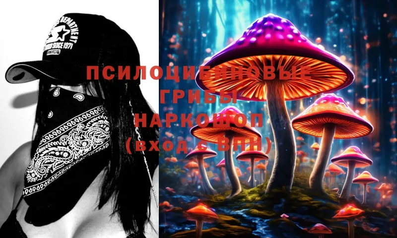 Галлюциногенные грибы Psilocybe  MEGA вход  Емва 