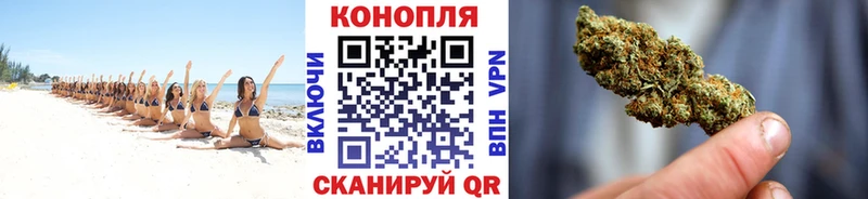 Шишки марихуана сатива  Емва 